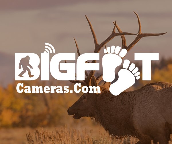 Bigfoot Game Cameras thumbnail
